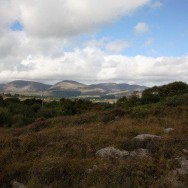 Oysterbed – View of the surrounding land from above the lodge